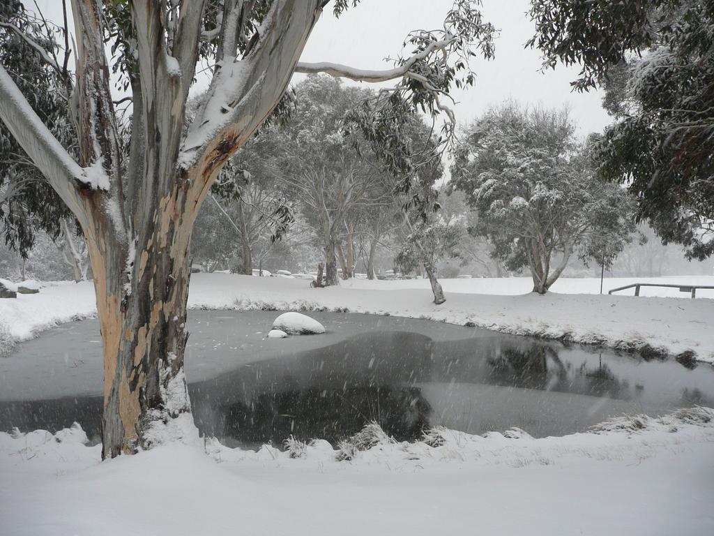 Chill-Out - Thredbo Villa Room photo